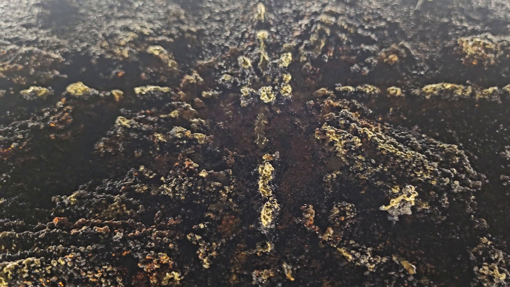 Work-in-progress video still from The Trace Before the Symbol, an original PROJECT X relief artwork with dark sculptural texture and an emerging illuminated form.