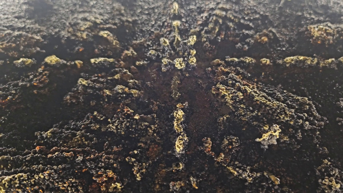 Work-in-progress video still from The Trace Before the Symbol, an original PROJECT X relief artwork with dark sculptural texture and an emerging illuminated form.